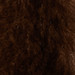 BRUN