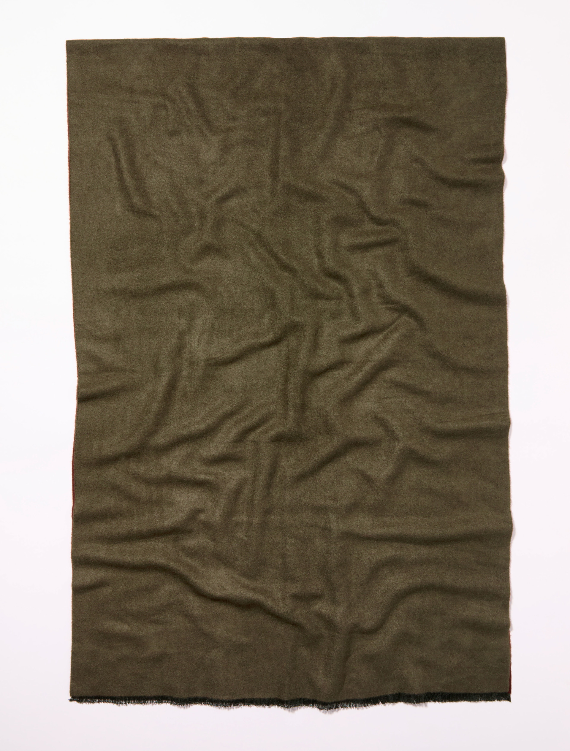 Stola con maxi logo - VERDE - MAX&Co.