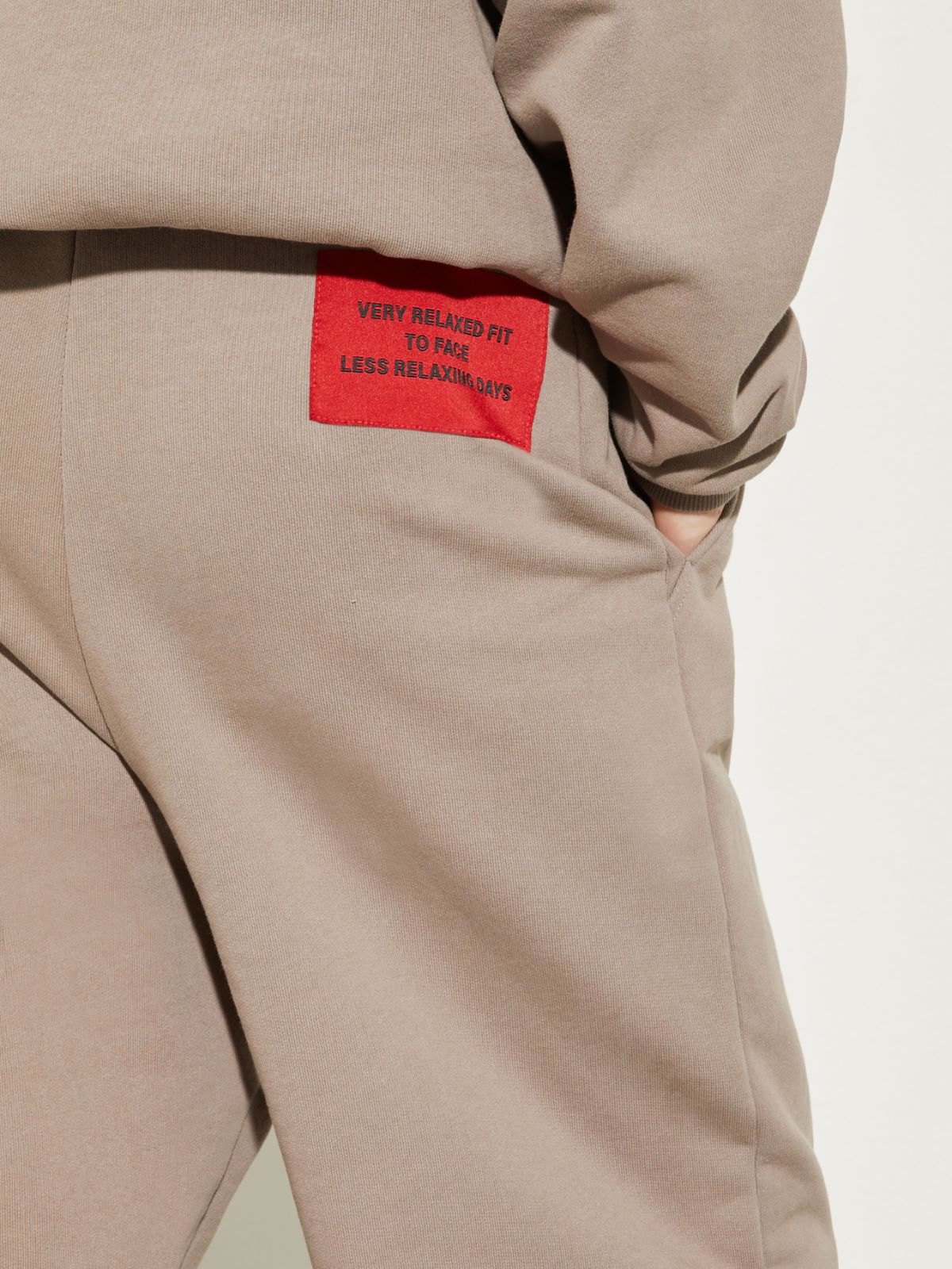 P. Terzini &Co.llaboration joggers - TURTLEDOVE - MAX&Co. - 3